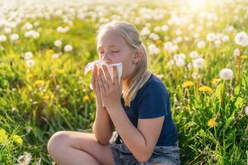 young girl sitting in a field of dandelions, holding a handkerchief to her nose, showing signs of allergies. The bright sunlight and blooming flowers highlight the springtime setting : Stock Photo or Stock Video Download rcfotostock photos, images and assets rcfotostock | RC Photo Stock.: