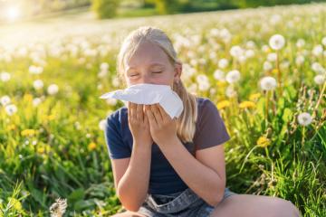 young girl sitting in a field of dandelions, sneezing into a handkerchief, displaying signs of allergy to pollen and grasses. The bright sunlight emphasizes the springtime atmosphere. : Stock Photo or Stock Video Download rcfotostock photos, images and assets rcfotostock | RC Photo Stock.: