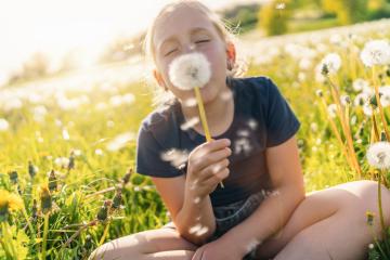 young girl sitting in a sunny field full of dandelions, blowing on a dandelion puff with closed eyes, enjoying the moment. The sun is shining brightly, capturing the essence of a warm spring day. : Stock Photo or Stock Video Download rcfotostock photos, images and assets rcfotostock | RC Photo Stock.: