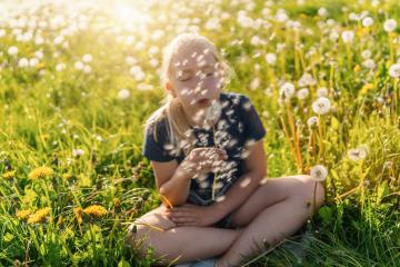 young girl sitting in a sunny field full of dandelions, blowing on a dandelion puff with closed eyes, sending seeds into the air. The sun is shining brightly, capturing a warm spring day. : Stock Photo or Stock Video Download rcfotostock photos, images and assets rcfotostock | RC Photo Stock.: