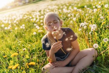 young girl sitting in a sunny field full of dandelions, blowing on a dandelion puff with closed eyes, sending seeds into the air. The sun is shining brightly, capturing the essence of warm spring day : Stock Photo or Stock Video Download rcfotostock photos, images and assets rcfotostock | RC Photo Stock.: