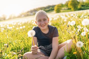 young girl sitting in a sunny field full of dandelions, holding one in her hand and smiling joyfully. The sun is shining brightly, capturing the essence of a warm and vibrant spring day. : Stock Photo or Stock Video Download rcfotostock photos, images and assets rcfotostock | RC Photo Stock.: