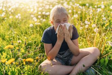 young girl sitting in a sunny field full of dandelions, holding - Stock Photo or Stock Video of rcfotostock | RC Photo Stock