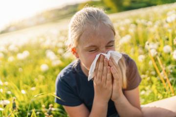young girl sitting in a sunny field of dandelions, holding a handkerchief to her nose, sneezing and showing signs of allergy to pollen and grasses in spring. The bright sunlight highlights discomfort : Stock Photo or Stock Video Download rcfotostock photos, images and assets rcfotostock | RC Photo Stock.: