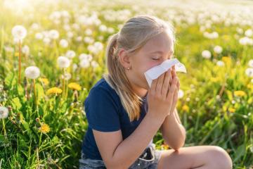 young girl with a ponytail sits in a field of dandelions, holding a handkerchief to her nose, showing signs of allergies. The bright sunlight and blooming flowers highlight the springtime setting : Stock Photo or Stock Video Download rcfotostock photos, images and assets rcfotostock | RC Photo Stock.: