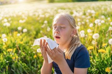 young girl with a ponytail sits in a field of dandelions, holding a handkerchief to her nose with a sneezing expression, indicating allergy symptoms. The bright sunlight highlights the springtime : Stock Photo or Stock Video Download rcfotostock photos, images and assets rcfotostock | RC Photo Stock.: