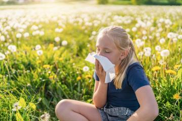 young girl with blonde hair sits in a field of dandelions, holding a tissue to her nose as she sneezes, showing symptoms of hayfever and allergies. The sunlit meadow creates a serene backdrop : Stock Photo or Stock Video Download rcfotostock photos, images and assets rcfotostock | RC Photo Stock.: