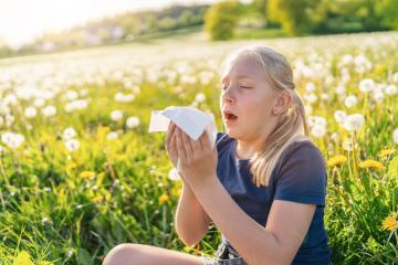 young girl with blonde hair sits in a field of dandelions, holding a tissue to her nose while sneezing, indicating hayfever and allergies. The sunlit meadow provides a bright, natural background : Stock Photo or Stock Video Download rcfotostock photos, images and assets rcfotostock | RC Photo Stock.: