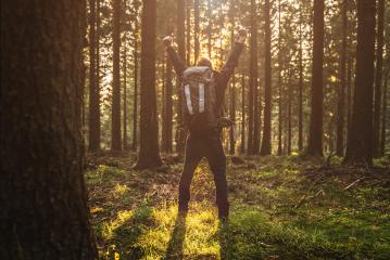 Young man in silent forrest with sunlight- Stock Photo or Stock Video of rcfotostock | RC Photo Stock