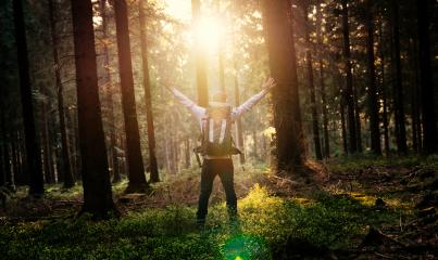 Young man in silent forrest with sunlight : Stock Photo or Stock Video Download rcfotostock photos, images and assets rcfotostock | RC Photo Stock.: