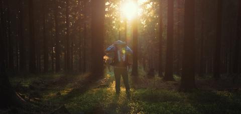 Young man in silent forrest with sunlight : Stock Photo or Stock Video Download rcfotostock photos, images and assets rcfotostock | RC-Photo-Stock.: