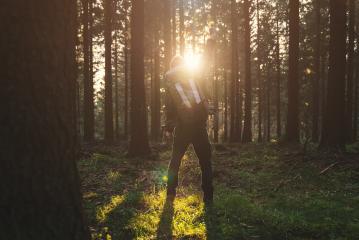 Young man in silent forrest with sunlight- Stock Photo or Stock Video of rcfotostock | RC Photo Stock