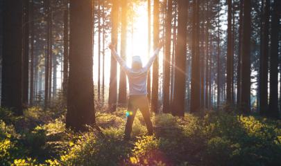 Young man in silent forrest with sunlight : Stock Photo or Stock Video Download rcfotostock photos, images and assets rcfotostock | RC Photo Stock.: