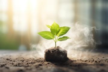 Young plant in soil with mist, sunlight background
- Stock Photo or Stock Video of rcfotostock | RC Photo Stock
