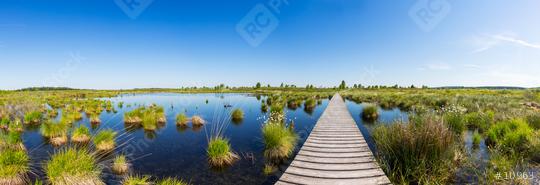  bog lake at the High Fens (Hautes Fagnes) panorama  : Stock Photo or Stock Video Download rcfotostock photos, images and assets rcfotostock | RC Photo Stock.: