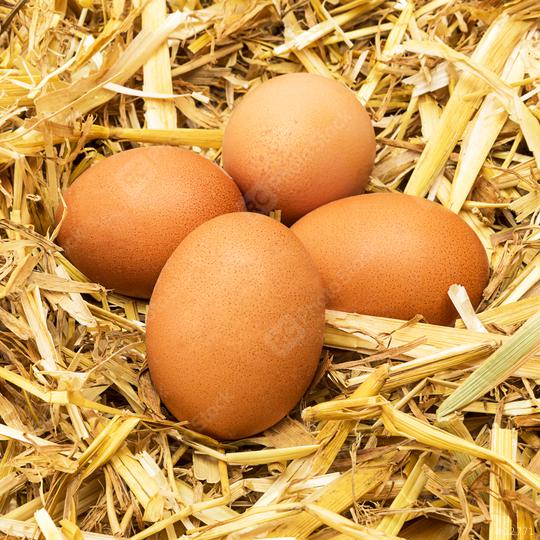 brown eggs in straw  : Stock Photo or Stock Video Download rcfotostock photos, images and assets rcfotostock | RC Photo Stock.: