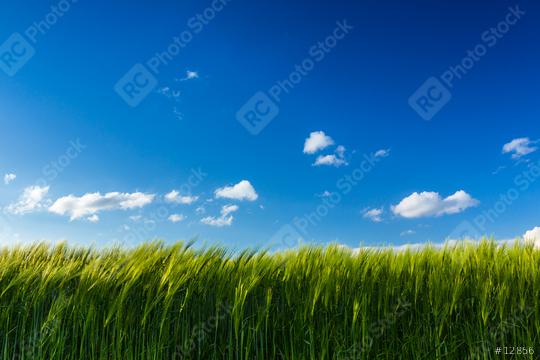 629A3483  : Stock Photo or Stock Video Download rcfotostock photos, images and assets rcfotostock | RC Photo Stock.: