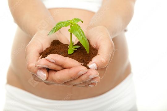 A close-up of hands holding soil with a small green plant sprouting, symbolizing growth, new beginnings, and nature, against a soft white background.
  : Stock Photo or Stock Video Download rcfotostock photos, images and assets rcfotostock | RC Photo Stock.: