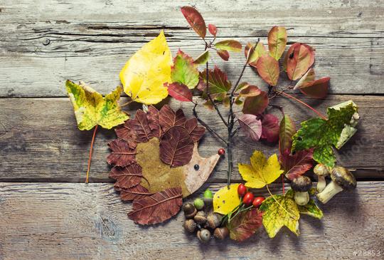 A creative hedgehog art piece made with colorful autumn leaves, acorns, berries, and mushrooms arranged on a rustic wooden surface, showcasing fall crafts and natural textures  : Stock Photo or Stock Video Download rcfotostock photos, images and assets rcfotostock | RC Photo Stock.: