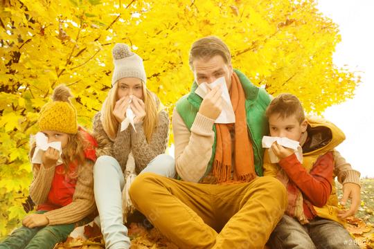 A family of four sitting under golden autumn trees, using tissues to wipe their noses, symbolizing seasonal allergies, colds, or flu during the fall season, dressed in warm autumn clothing  : Stock Photo or Stock Video Download rcfotostock photos, images and assets rcfotostock | RC Photo Stock.: