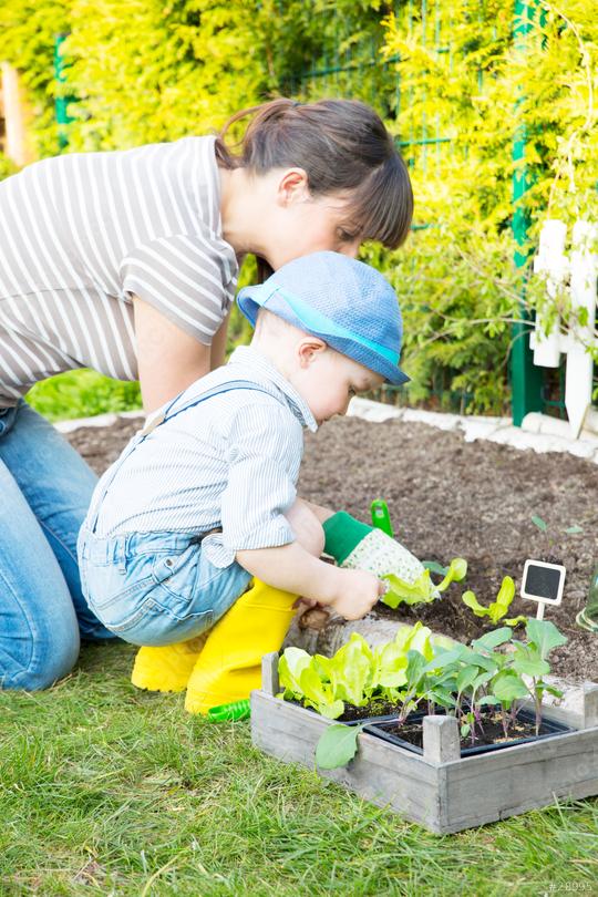 A mother and her young child gardening together outdoors, planting seedlings in a vegetable bed, enjoying quality time in nature while nurturing plants and teaching eco-friendly habits  : Stock Photo or Stock Video Download rcfotostock photos, images and assets rcfotostock | RC Photo Stock.: