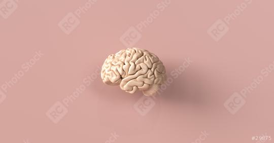 A realistic 3D rendering of a human brain displayed against a soft pink background with detailed folds and smooth texture  : Stock Photo or Stock Video Download rcfotostock photos, images and assets rcfotostock | RC Photo Stock.: