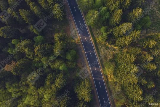 Aerial shot looking down at the tree tops and a road from above  : Stock Photo or Stock Video Download rcfotostock photos, images and assets rcfotostock | RC Photo Stock.: