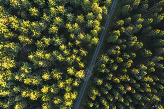 Aerial top view of a path between trees in forest   : Stock Photo or Stock Video Download rcfotostock photos, images and assets rcfotostock | RC Photo Stock.: