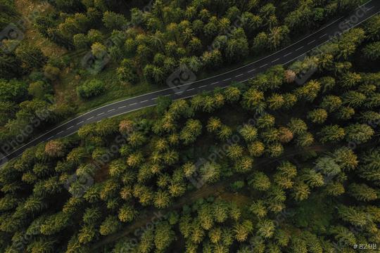 Aerial view a forest and a country road  : Stock Photo or Stock Video Download rcfotostock photos, images and assets rcfotostock | RC Photo Stock.: