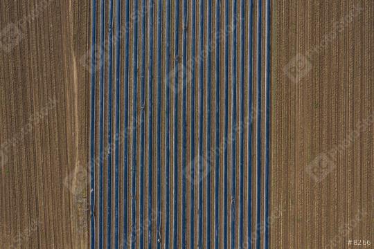 Aerial view, asparagus fields, asparagus covered with black tarpaulin  : Stock Photo or Stock Video Download rcfotostock photos, images and assets rcfotostock | RC Photo Stock.: