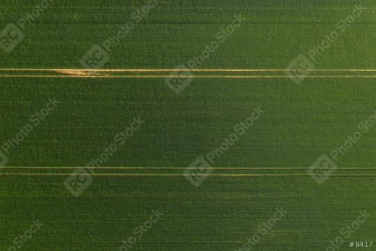 Aerial view of a Green wheat field and tracks from tractor. Beautiful agricultural texture or background of summer agriculture landscape. Drone shot  : Stock Photo or Stock Video Download rcfotostock photos, images and assets rcfotostock | RC Photo Stock.: