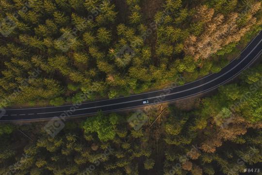 Aerial view of car driving through the forest on country road.   : Stock Photo or Stock Video Download rcfotostock photos, images and assets rcfotostock | RC Photo Stock.: