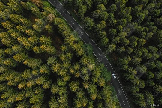 Aerial view of car driving through the forest on country road.  : Stock Photo or Stock Video Download rcfotostock photos, images and assets rcfotostock | RC Photo Stock.: