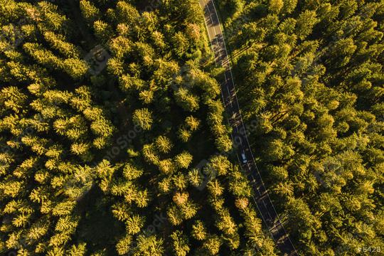 Aerial view of car driving through the forest on country road  : Stock Photo or Stock Video Download rcfotostock photos, images and assets rcfotostock | RC-Photo-Stock.: