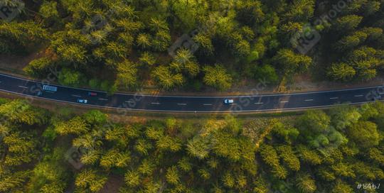 Aerial view of cars driving through the forest on country road.   : Stock Photo or Stock Video Download rcfotostock photos, images and assets rcfotostock | RC Photo Stock.:
