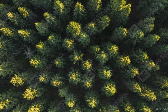 Aerial view of forest in mountains, Germany. Photo taken with Drone  : Stock Photo or Stock Video Download rcfotostock photos, images and assets rcfotostock | RC Photo Stock.: