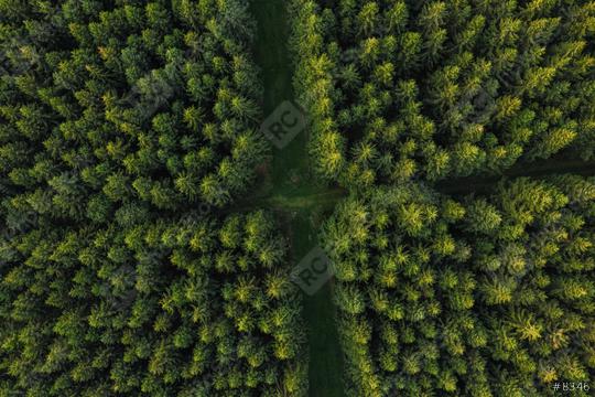 Aerial view of forest paths, Germany. Photo taken with Drone  : Stock Photo or Stock Video Download rcfotostock photos, images and assets rcfotostock | RC Photo Stock.: