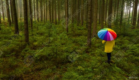 Aerial view of man holding rainbow umbrella in the dark pine tree forest - view from a drone  : Stock Photo or Stock Video Download rcfotostock photos, images and assets rcfotostock | RC Photo Stock.: