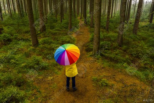 Aerial view of man holding rainbow umbrella in the forest - view from a drone  : Stock Photo or Stock Video Download rcfotostock photos, images and assets rcfotostock | RC Photo Stock.: