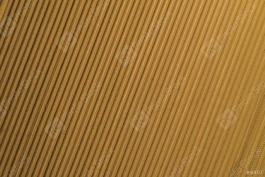 Aerial view of plowed agricultural field from drone pov, top view   : Stock Photo or Stock Video Download rcfotostock photos, images and assets rcfotostock | RC-Photo-Stock.: