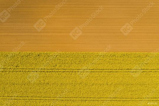 Aerial view of rows of soil before planting Canola. Furrows row pattern in a plowed field prepared for planting crops in spring. Drone shot view  : Stock Photo or Stock Video Download rcfotostock photos, images and assets rcfotostock | RC Photo Stock.: