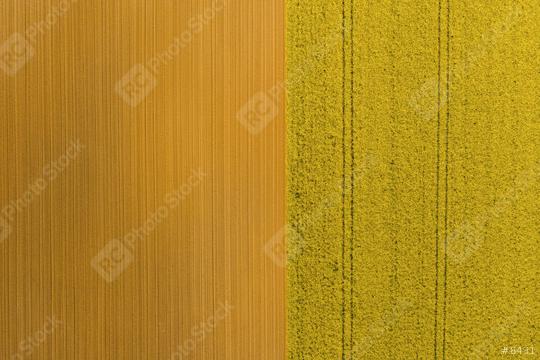 Aerial view of rows of soil before planting rapeseed. Furrows row pattern in a plowed field prepared for planting crops in spring. Drone shot  : Stock Photo or Stock Video Download rcfotostock photos, images and assets rcfotostock | RC Photo Stock.: