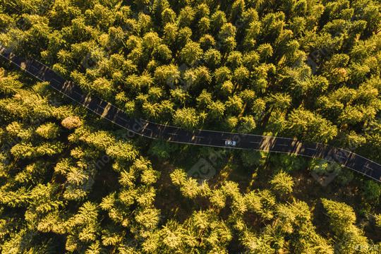 Aerial view of summer forest with a car on the road. Captured from above with a drone  : Stock Photo or Stock Video Download rcfotostock photos, images and assets rcfotostock | RC Photo Stock.:
