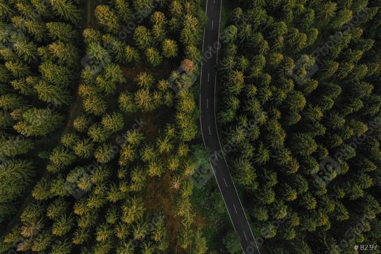Aerial view of the forest and a country road  : Stock Photo or Stock Video Download rcfotostock photos, images and assets rcfotostock | RC Photo Stock.: