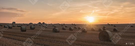 Agricultural field. Round bundles of dry grass in the field against the sunset sky  : Stock Photo or Stock Video Download rcfotostock photos, images and assets rcfotostock | RC Photo Stock.: