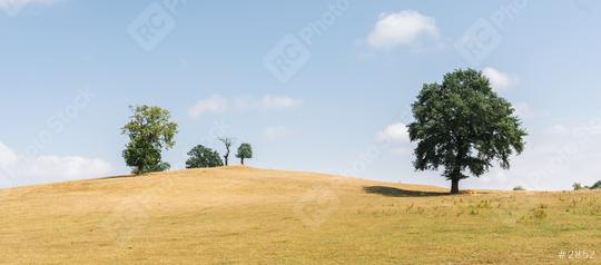 andscape with trees on hills and beautiful mountains  : Stock Photo or Stock Video Download rcfotostock photos, images and assets rcfotostock | RC Photo Stock.: