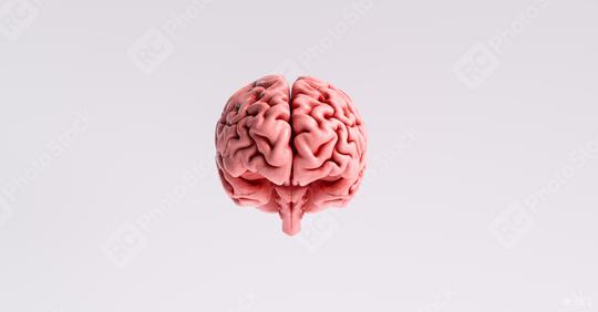 artificial intelligence concept with a floating brain model  : Stock Photo or Stock Video Download rcfotostock photos, images and assets rcfotostock | RC Photo Stock.: