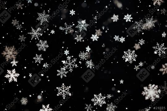 Assorted snowflakes descending softly on a black background
  : Stock Photo or Stock Video Download rcfotostock photos, images and assets rcfotostock | RC Photo Stock.: