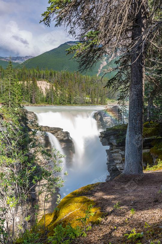 Athabasca Falls in Jasper National Park on the Icefield Parkway in Alberta, Canada. A Class 5 waterfall, it is the most powerful waterfall in the Canadian Rockies.  : Stock Photo or Stock Video Download rcfotostock photos, images and assets rcfotostock | RC Photo Stock.: