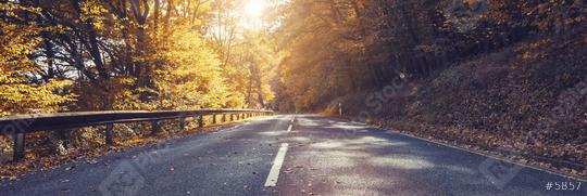 Autumn scene with road in forest and bright sunlight  : Stock Photo or Stock Video Download rcfotostock photos, images and assets rcfotostock | RC Photo Stock.: